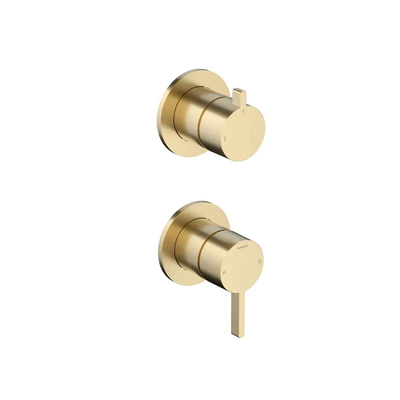 Hotbath Ace Bateria natryskowa podtynkowa 2-drożna z zaworem odcinającym - element zewnętrzny Brushed Brass PVD AC129.BBP