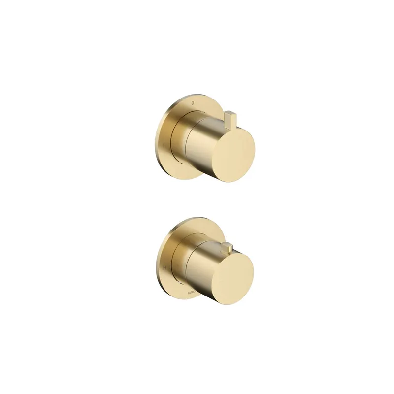 Hotbath Ace Bateria natryskowa termostatyczna podtynkowa 2-drożna - element zewnętrzny Brushed Brass PVD AC009.BBP